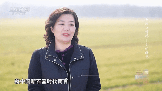 蜗牛配资 登上央视！文明曙光中的山大贡献