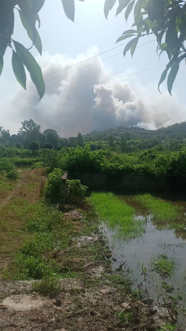 恒瑞行配资 湖南烟花厂爆炸事故9死26伤：高温前的赶工和一个山村的生计