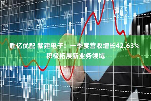 胜亿优配 紫建电子：一季度营收增长42.63% 积极拓展新业务领域